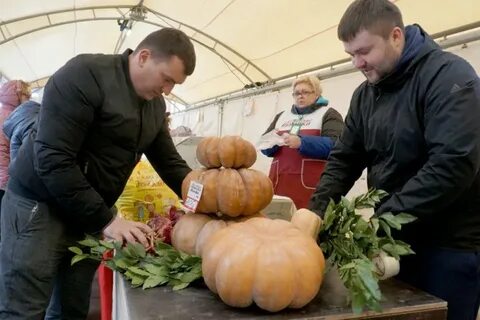 Работает ли ярмарка