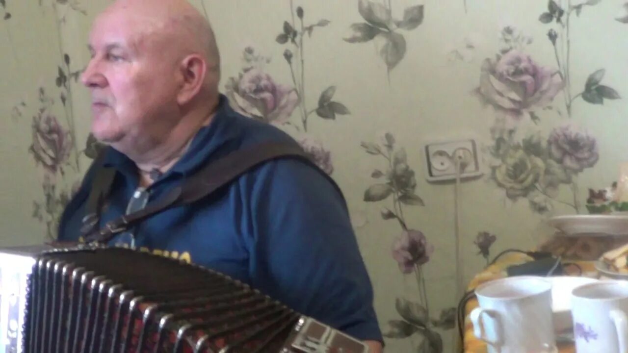 От чего гармонь поет. Владимир нецкин гармонь. Кальянов - пой гармонь видео. Николай овчинников аккордеон. Смоленская гармошка.