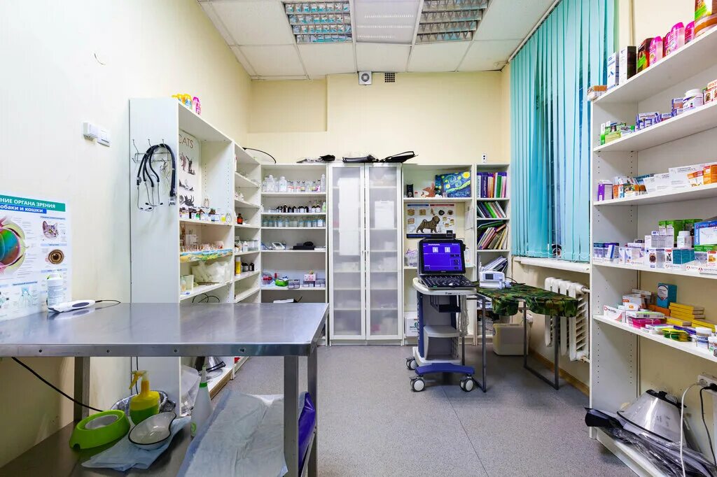 габика ветклиника жуковский. ветрассвет жуковский. ветрассвет жуковский. доктор еремин жулебино. ветрассвет жуковский.