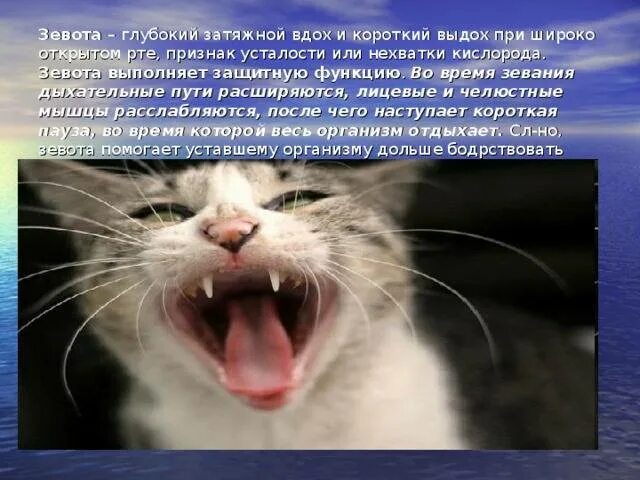 Почему нападает зевота. Зевание причины. зевота причины. почему человек зевает. причина постоянного зевания.