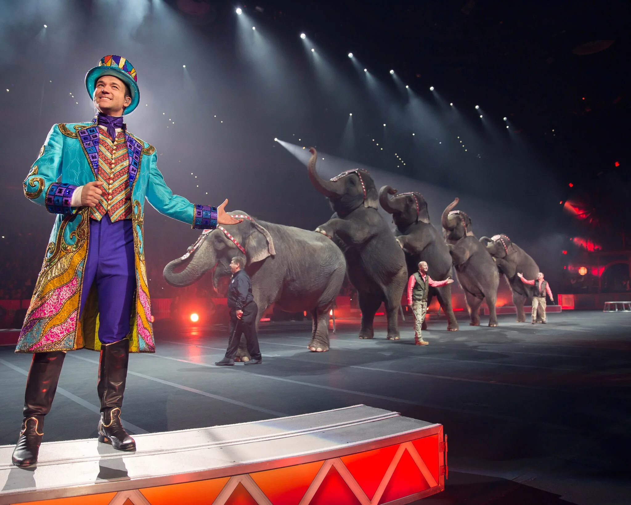 Цирковые животные. Цирковое искусство. Животные в цирке. Цирк гии эрадзе воронеж. Как зовут главного из цифрового цирка.