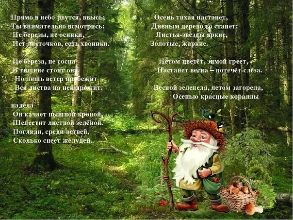Стишок про лесовичка. Стихи про лешего для детей. Стих про лесовичка для детей. Лесовичок в лесу для детей.