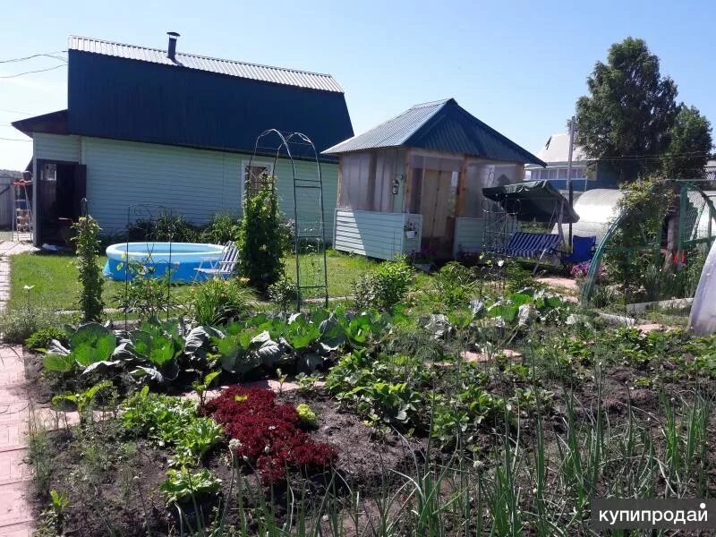 дача в золхе керлегеш. прокопьевск дома продажа от 50000. чистугаш база отдыха. изора прокопьевск фото. дача прокопьевск керлегеш.