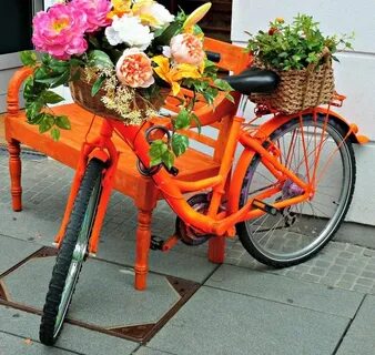 Коралловый велосипед
