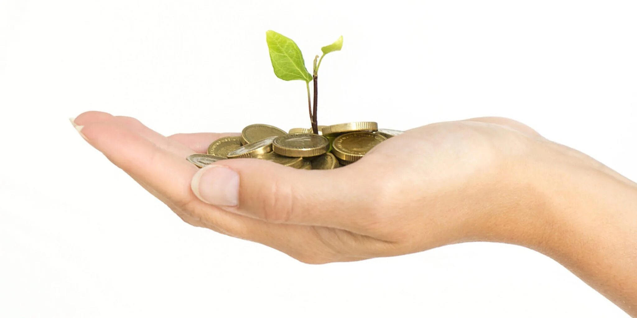 Saving capital