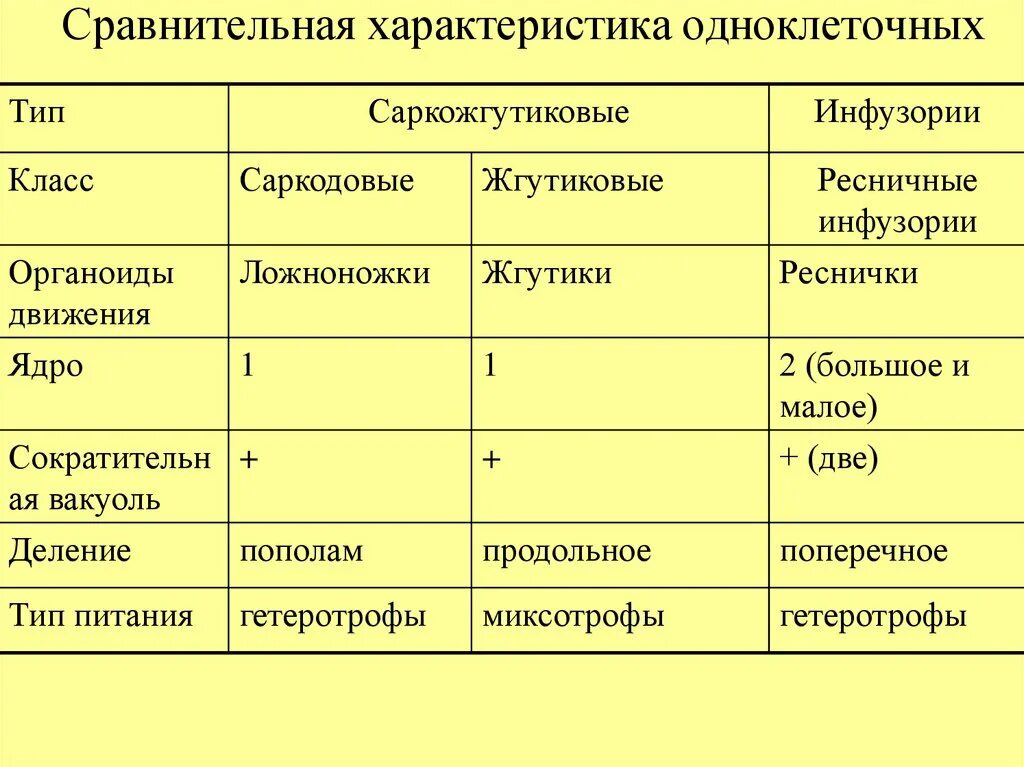 Различие простейших. Таблица Тип жгутиковые и инфузории. Тип простейшие жгутиковые таблица. Сравнительная характеристика простейших таблица 7 класс. Таблица Тип Саркодовые и жгутиконосцы по биологии 7 класс.