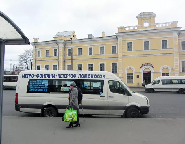 Остановки петергоф. 424 Маршрут Ломоносов Автово. Ломоносов вокзал автобус 687. Маршрутка в Петергоф.