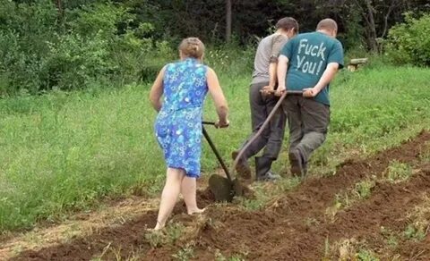 Ты что совсем пацана пахать