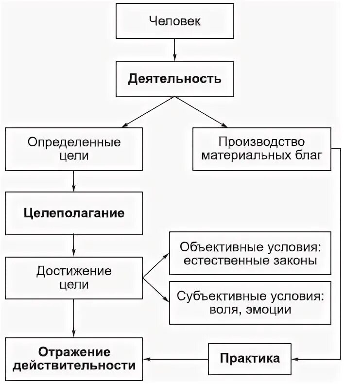 Деятельность это в обществознании 8 класс. Схема деятельности человека. Преобразующий характер деятельности. Этапы деятельности человека обществознание 6 класс. Схема виды деятельности обществознание 10 класс.