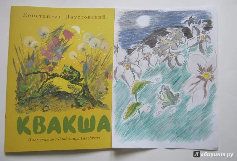 Паустовский квакша иллюстрации. Книги Паустовского для детей. Иллюстрации к рассказам Паустовского.