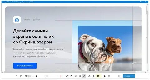 Бесплатный скриншотер на русском
