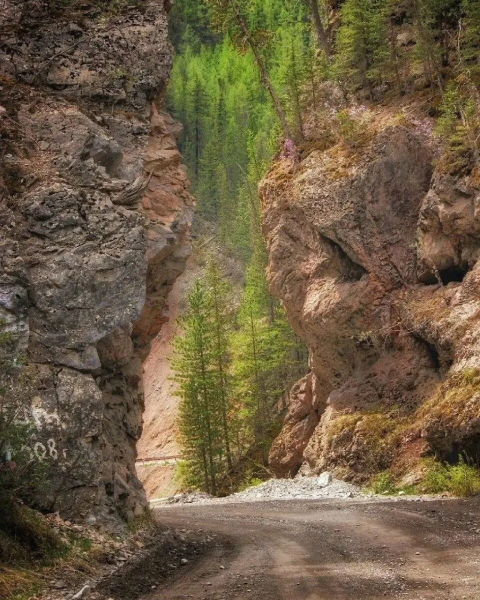 Красные ворота алтай акташ. Красные ворота горный алтай акташ достопримечательности. Красные ворота горный алтай акташ достопримечательности. Красные ворота алтай акташ. Ущелье красные ворота акташ.