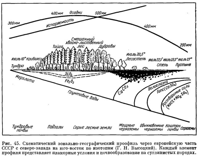 8 мм осадков