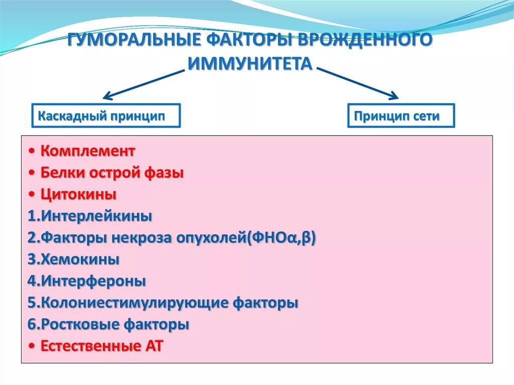 Гуморальные механизмы врожденного иммунитета. Гуморальные факторы иммунной системы. Клеточные и гуморальные факторы врожденного иммунитета. Основные факторы гуморальной иммунной реакции. Факторы и механизмы врожденного иммунитета комплемент.