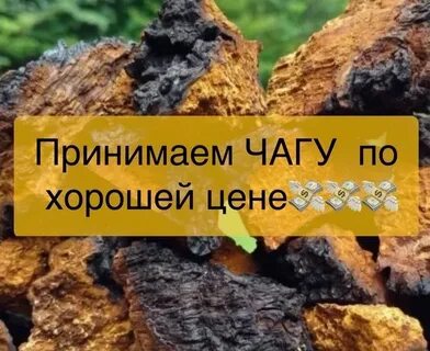 Где в кирове принимают