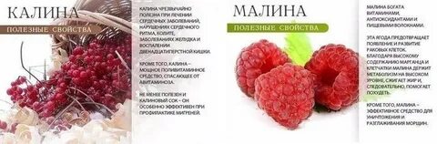Малина польза для организма