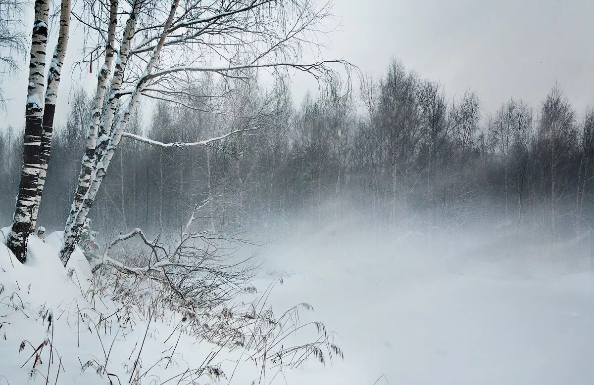 снежная дорога. слушать снег. снег кружится летает летает. снегопад текст. заметает белым снегом путь.