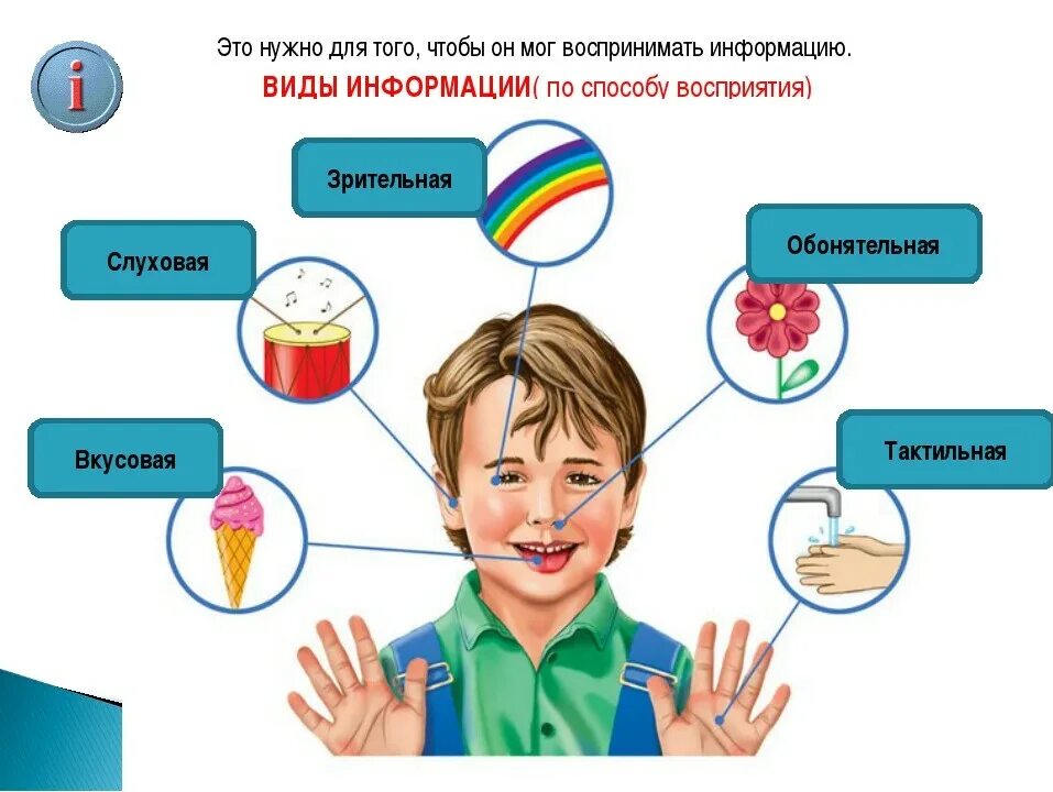 Виды информации. Способы восприятия информации человеком. Виды информации по способу восприятия. Виды информации по способу её восприятия человеком. В мире информации 3 класс рабочая