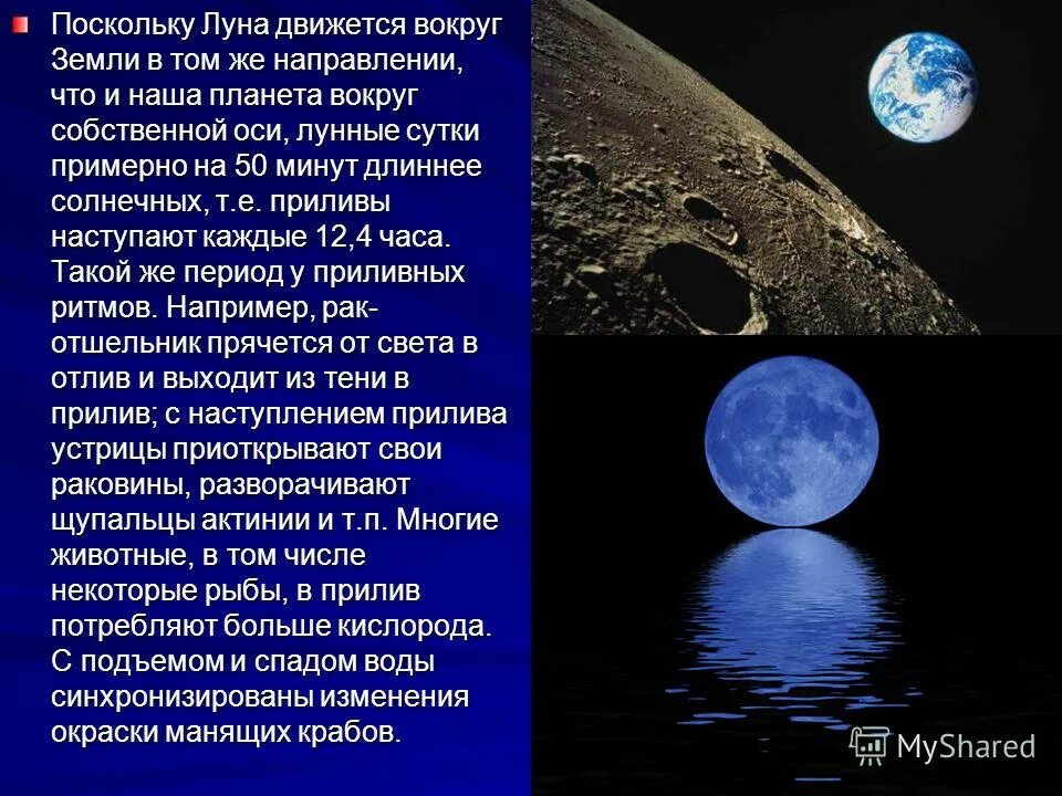 Движение луны вокруг земли. Видимое движение луны. Траектория движения солнца по небосводу. Движение луны. Движение и фазы луны.