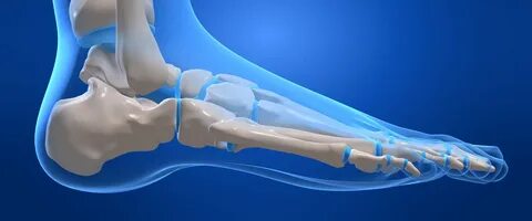 Bunkr foot