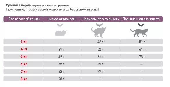 Сколько корма давать котятам в день. Роял Канин норма кормления кошек сухой Sterilized. Норма сухого корма для кошек в день таблица для стерилизованных. Нормы кормления сфинкса 5 мес. Таблица нормы корма для котят.