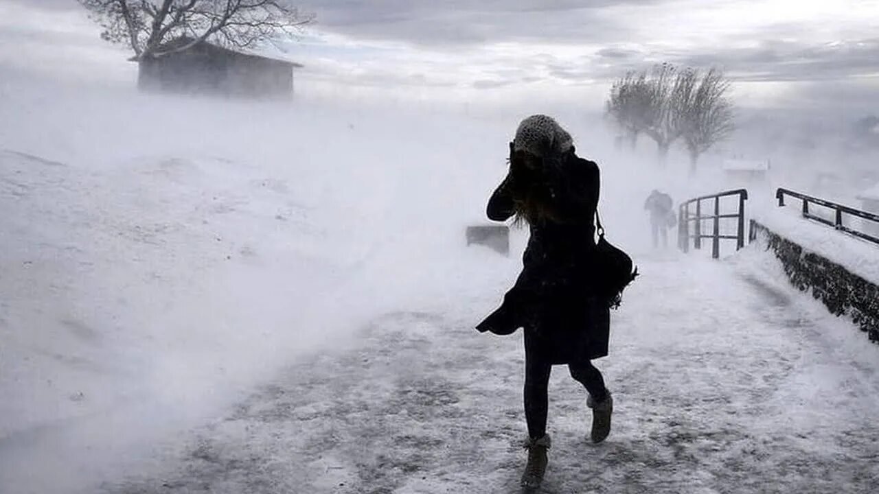 Метель и вьюга. Сильная метель. Мокрый снег. Сильная метель. Сильная метель снежная буря.