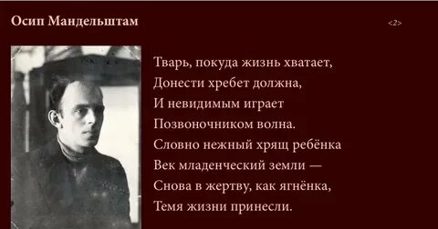Мандельштам грядущих веков