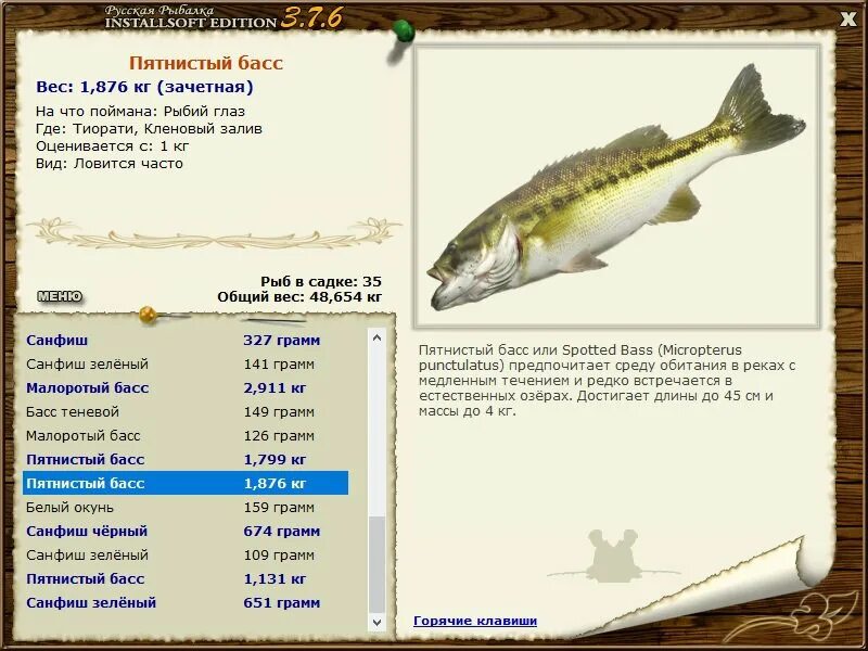 Как переводится бас. Fishing пятнистый басс ловля. bass перевод на русский.