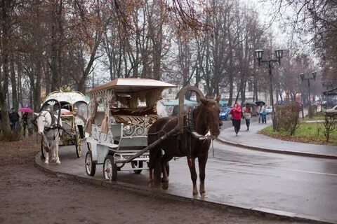 Транспорт москва суздаль