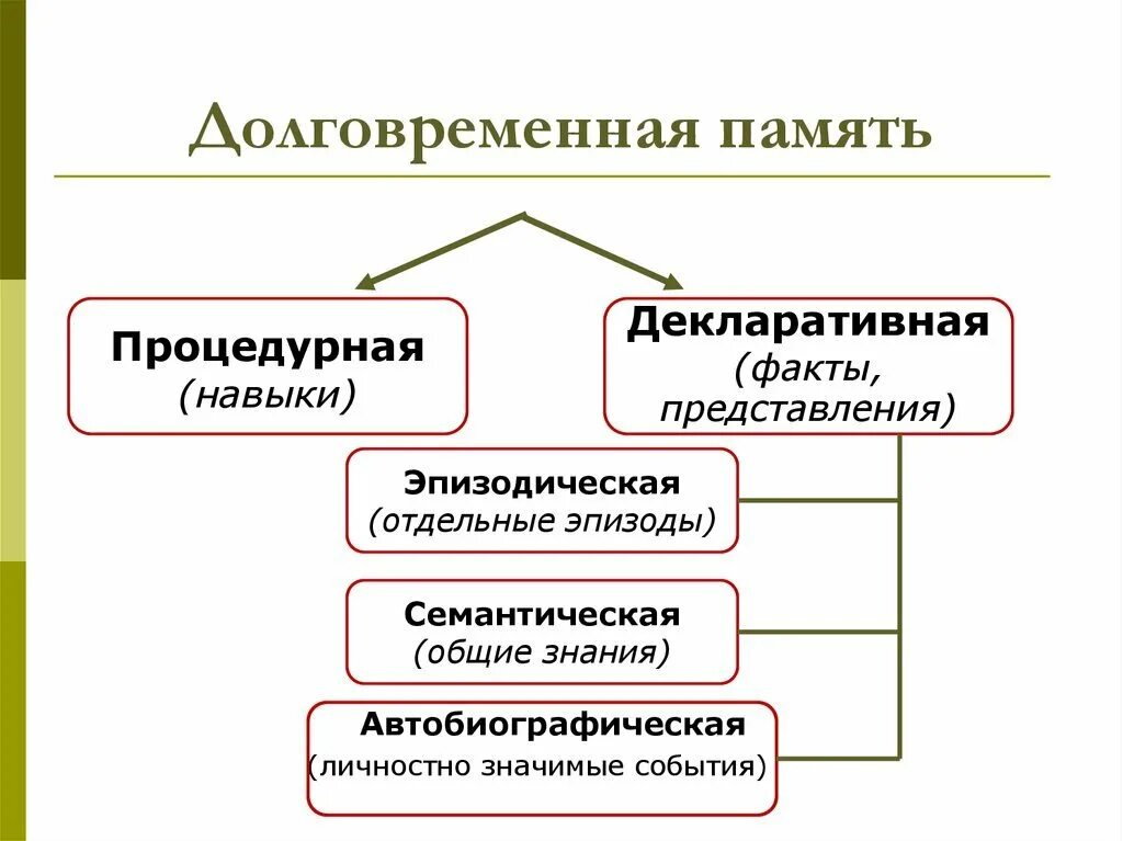 Выберите долговременную память. Процедурная и декларативная память. схема процедурная и декларативная память.. структура памяти человека долговременная. виды долговременной памяти.