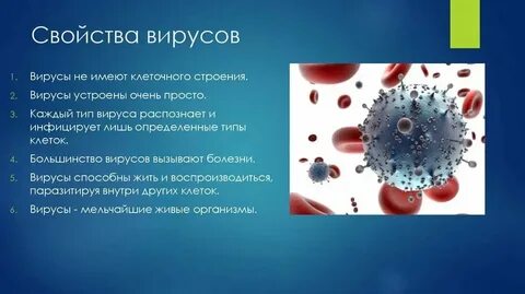 Вирусы не обладают свойством