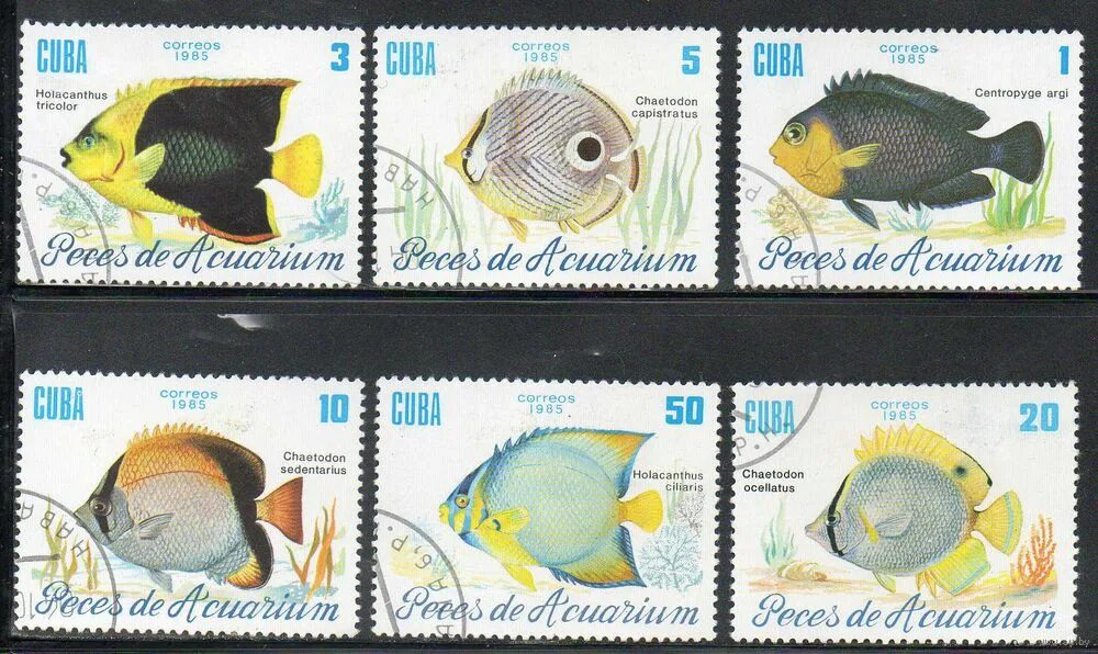 1985 год рыбы. 1985 год рыбы. остров кокос монеты. титановые двухцветные монеты. 1985 год рыбы.