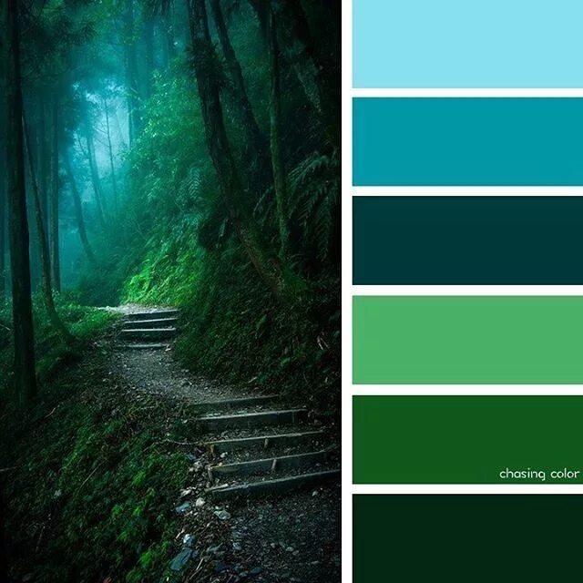 Цвет темный зеленовато синий. Зеленая гамма цветов. Темно зеленый палитра. Цветовая палитра зеленого цвета. Оттенки зелёного цвета в природе.