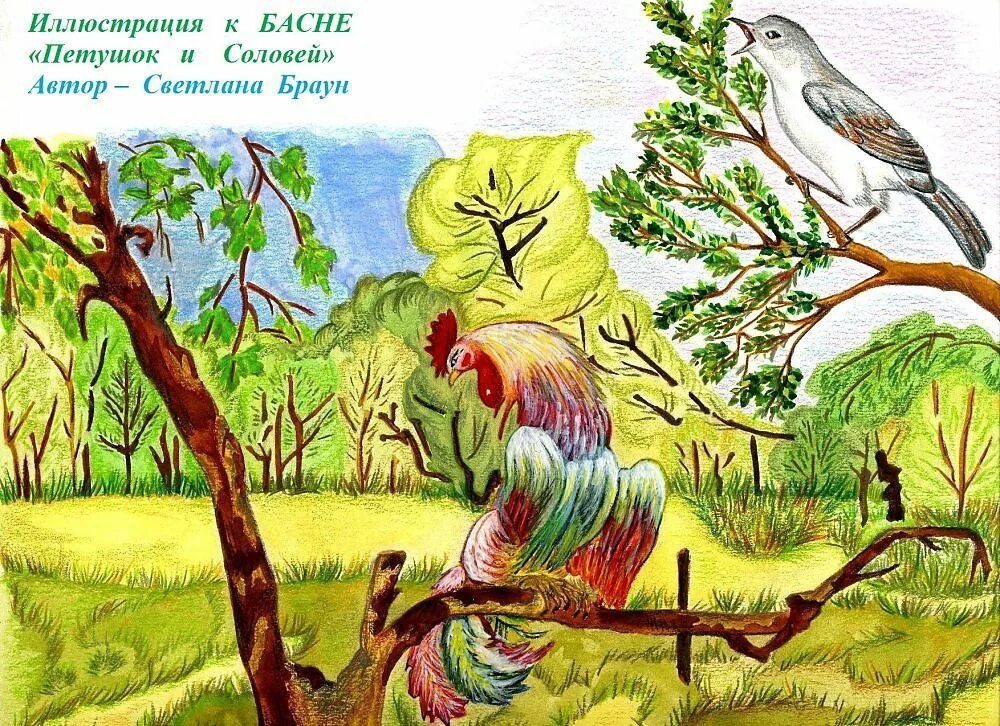 Рисунок к стиху. Басня Кукушка и Соловей Крылов. Мажит Гафури петух и Соловей. Басня петух и Соловей. Басня Крылова петух и Соловей.