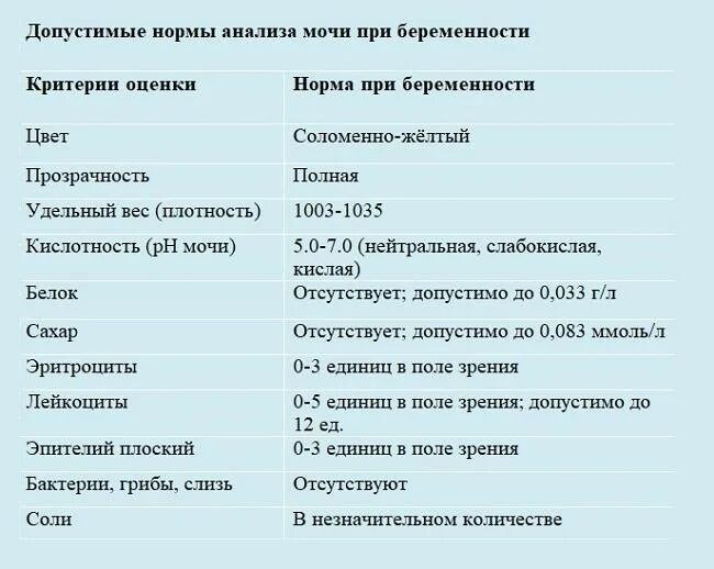 Плохая моча причины у женщин лечение. Общий анализ мочи беременной норма. Таблица норм показателей анализа мочи беременных. Общий анализ мочи при беременности расшифровка и нормы для женщин. Анализ мочи у беременных норма.