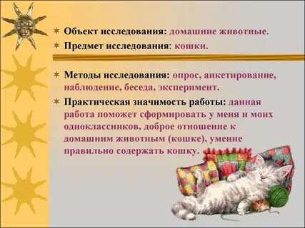 Исследовательская работа домашняя работа