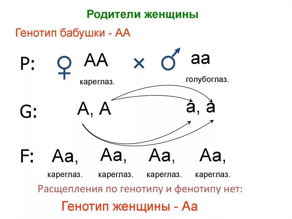 Одинаковый генотип это. Генотип и фенотип. Генотип АА. Генотипы родителей АА АА. АА АА генотип и фенотип.