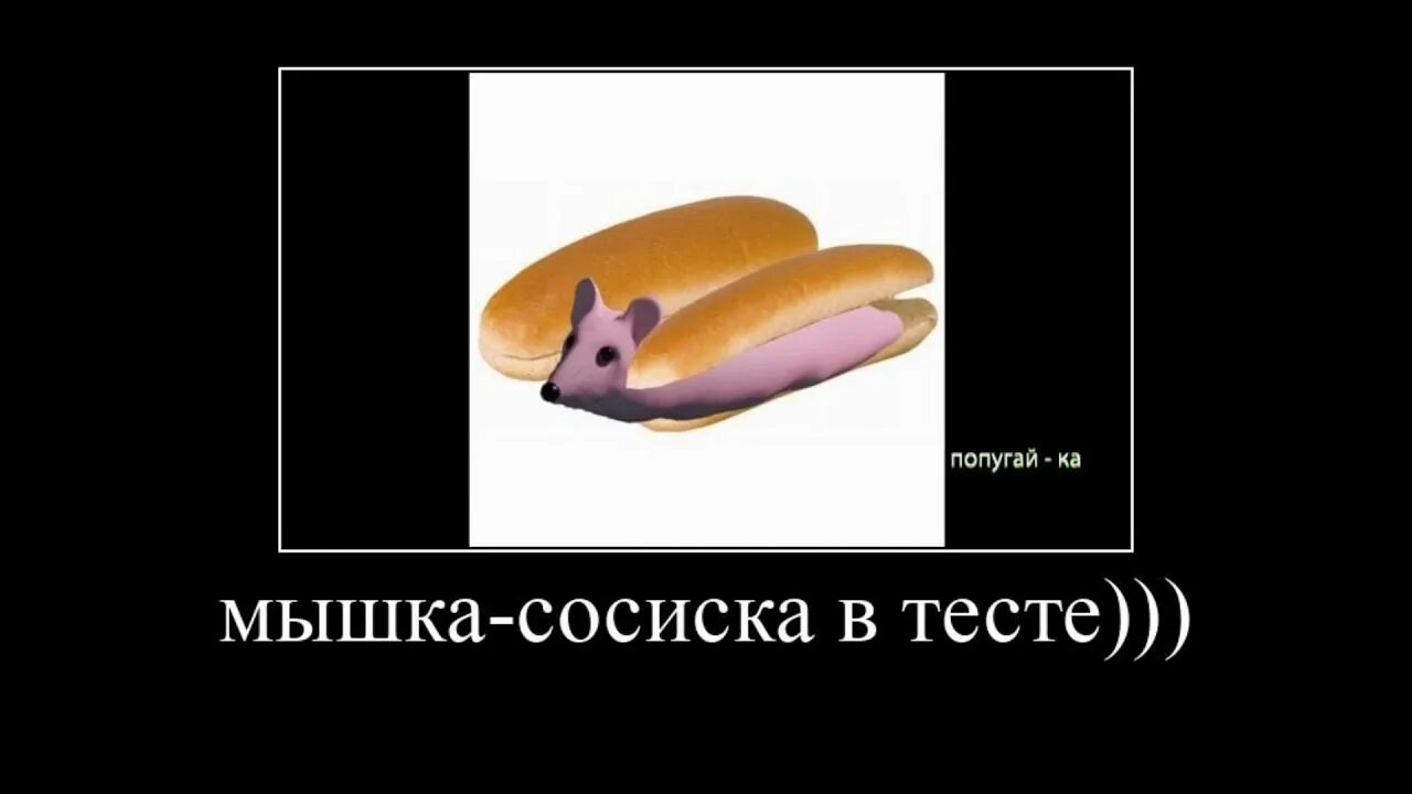 Включи мышка сосиска туц туц собачка. Мышка сосиска. Мемы из мышки сосиски. Фотографии мышки сосиски. Родственники мышки сосиски.