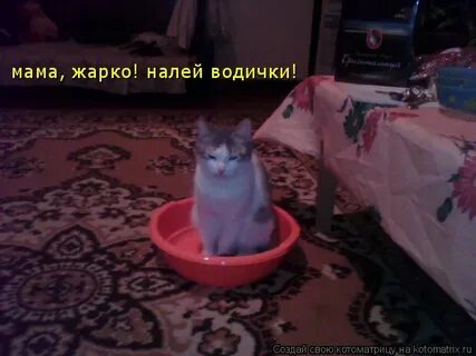 Жарко мама