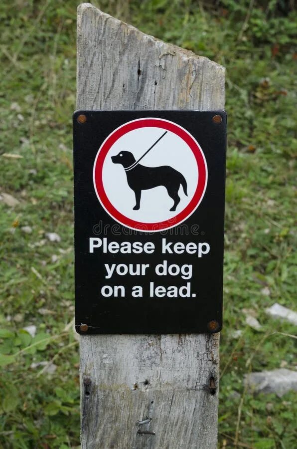 Dogs must keep on a lead. Держите собак на привязи. Знак all Dogs must be on a lead. Keep your Dog on the lead.