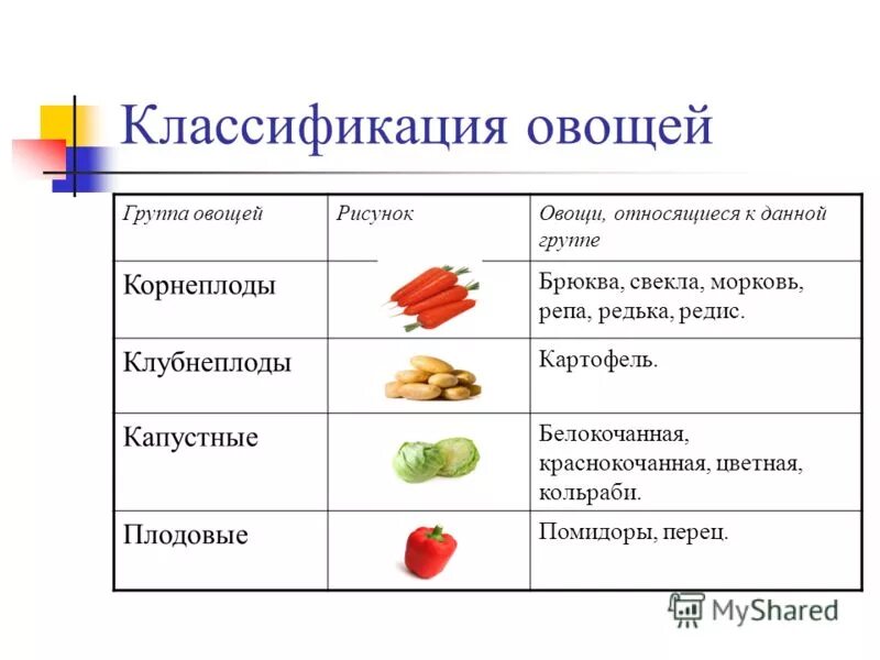 Классификация овощей клубнеплоды. Классификация корнеплодов овощей. Классификация овощей. Схема обработки корнеплодов.. Таблица корнеплоды и клубнеплоды. Питание делится на группы