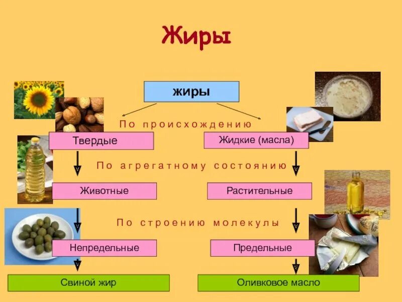 Соотношение жиров растительного и животного. Твердый жир растительного происхождения. Растительные и животные жиры химия таблица. Растительные и животные жиры. Растительный и животный жир.