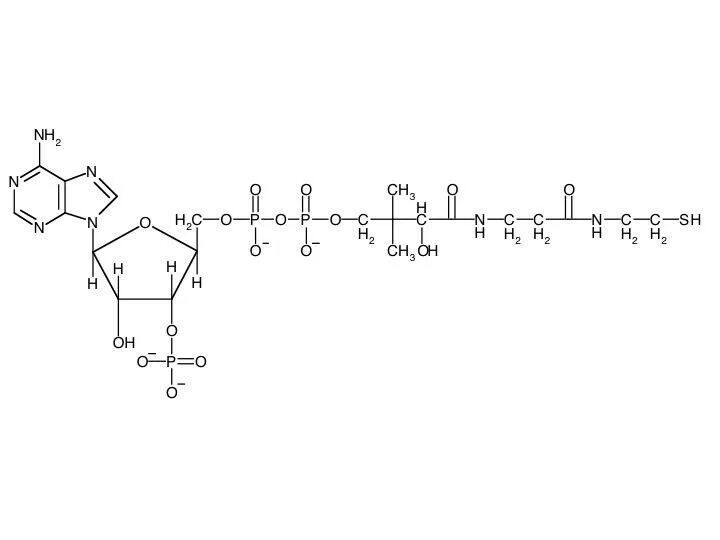 Коэнзим КОА формула. Формула КОА sh. КОА кофермент. Коэнзим а формула. Коа формула