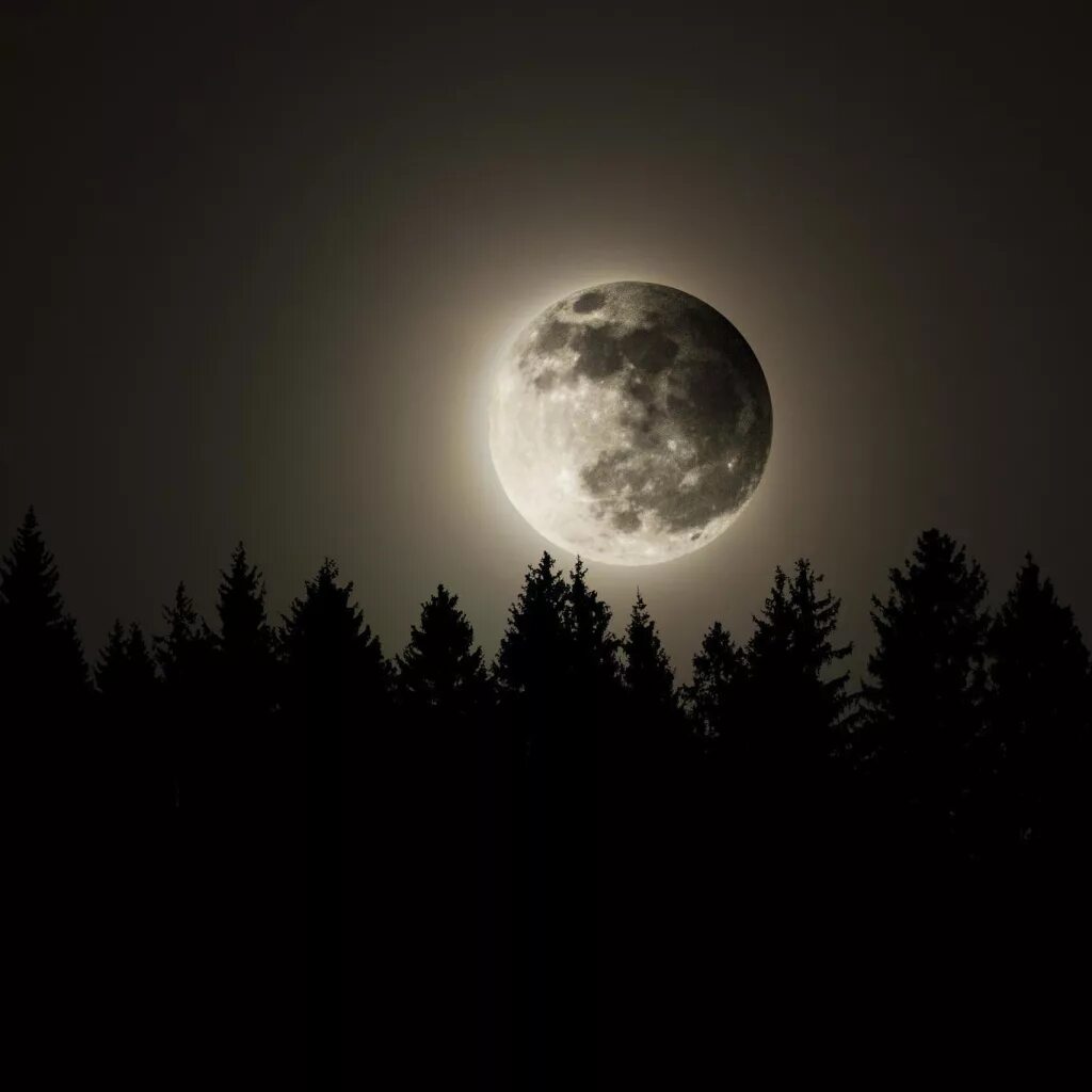 Луна. Ночь Луна. Полнолуние. Полная Луна.