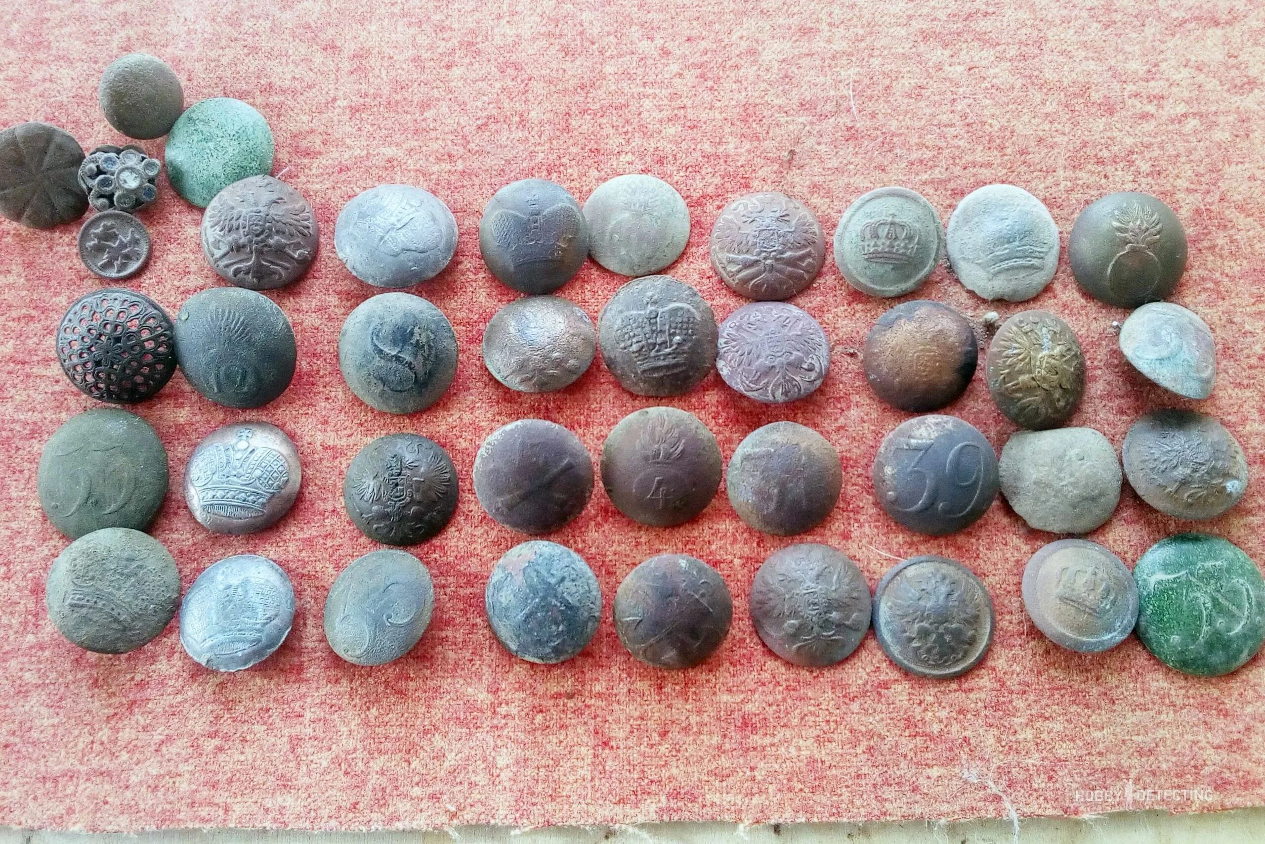 определить пуговица