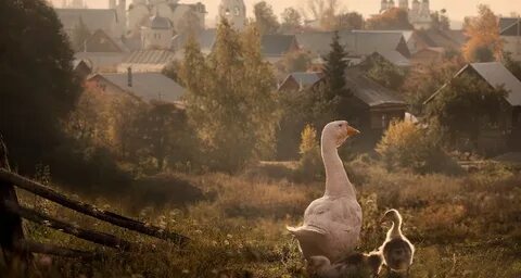 Вне городской