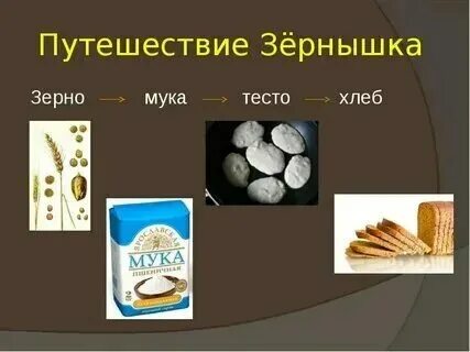 Рабочие листы путь зерна 1 2 класс. Рабочие листы путь зерна 1 2 класс