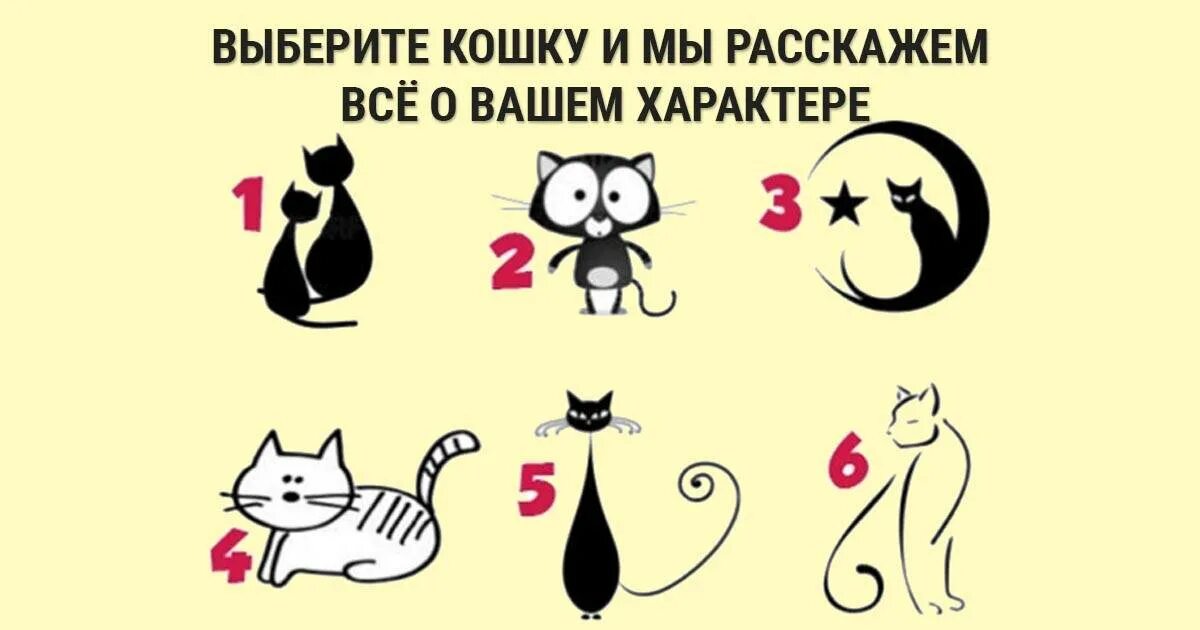 Выбери кошку. Тест выбери кошку. Тест про кошек. Психологический тест выбери картинку.