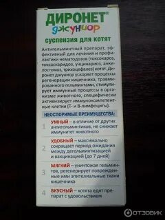 Диронет джуниор
