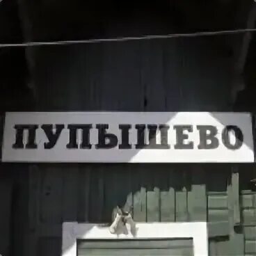 Электричка рыбацкое пупышево